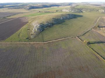 Campo · 700000m² · 70 Ha - Las Piedritas - Balcarce