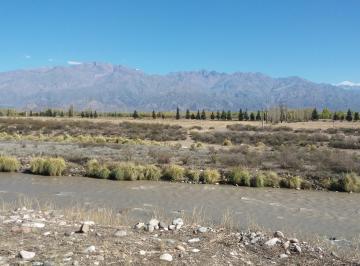 Campo , San Carlos · Venta Finca Inculta 45 Has en Paraje Altamira Valle de Uco