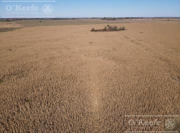 Campo · 1780000ha · Campo en Venta 180 Has Mixtas en Gral. Las Heras
