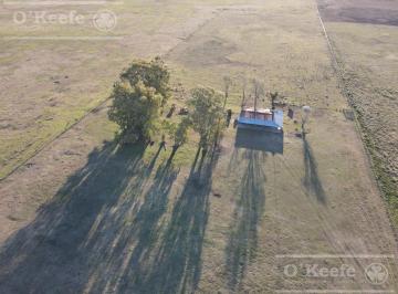 Campo · 13620000m² · Campo Ganadero en Venta de 1362 Has en Olavarria