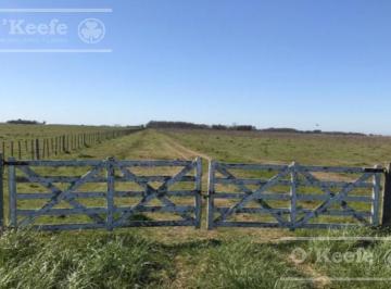 Campo · 1750000m² · Campo en Venta de 175 Has en Ranchos - Sobre Asfalto - Oportunidad!
