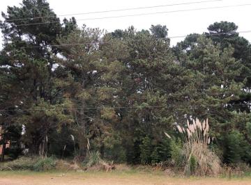 Terreno · 750m² · Venta - Lote - Costa del Este