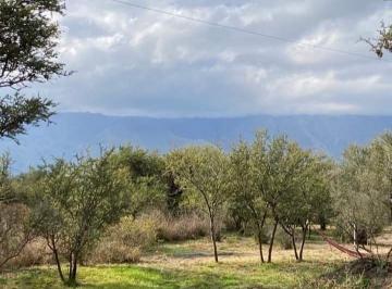 Foto · Lote Unico! Excelente Para Comercio! Cerro de Oro, San Luis