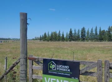 Terreno , San Vicente · Lote en Venta 5.000 m² - San Vicente Pcia de Bs. As Gb. Sur