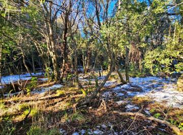 Terreno · 1912m² · Co Runge Barrio Belgrano - Bariloche