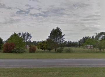 Terreno · 16000m² · Venta de Chacras en Chascomus Sobre Ruta 2