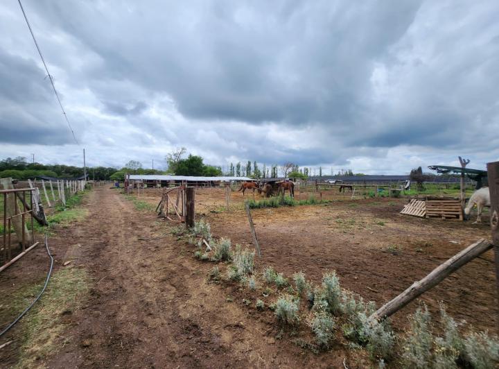 Terreno · 115m² · 2 Ambientes