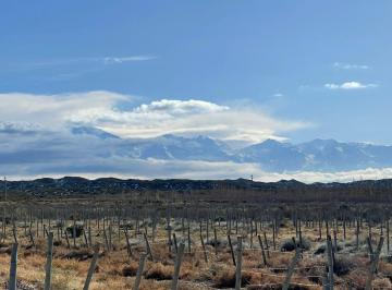 Campo , Luján de Cuyo · Venta Campo 100 Has Inculto Alto Agrelo Luján de Cuyo con Pozo. Zona Única