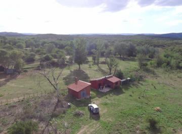 Campo de 3 ambientes, San Antonio de Arredondo · Casa Sobre 1 Hectarea en Venta en San Antonio de Arredondo, Cordoba