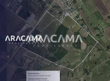 RRA-RRA-722_2 · Campo Sobre Ruta 193 (Km 10) - Zarate