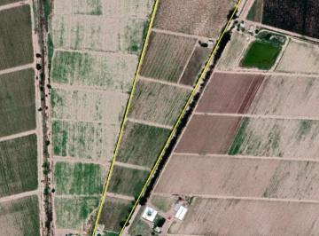 Terreno · 91000m² · Finca en Venta en Ugarteche, Mendoza