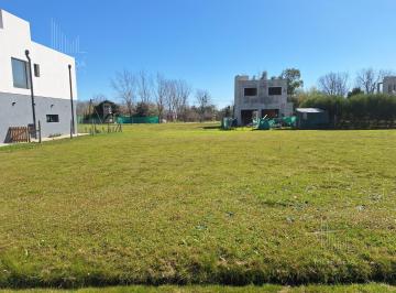 Terreno · 290m² · Venta Terreno en Las Brisas Country Club