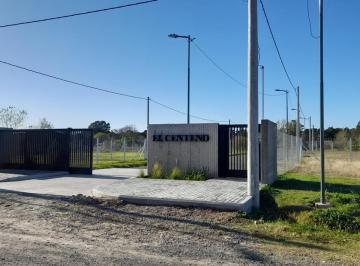 Terreno · 160m² · Lote en Venta | El Centeno - 7 y 622 - V. Elvira La Plata