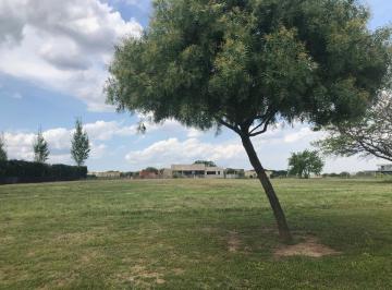 Terreno · 895m² · Venta Lote Interno Area 2 - San Sebastián