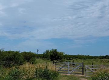 frente campo · Arocena Campo Ganadero Sobre Ruta 11