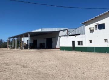 Bodega-Galpón · 3139ha · Galpón en Mar del Plata