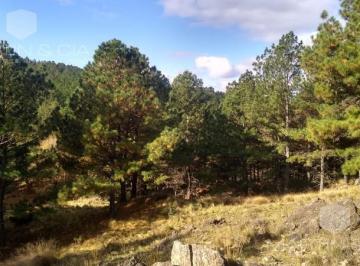 Terreno en Venta  Villa Joven · Chacras de Montaña - Villa Berna