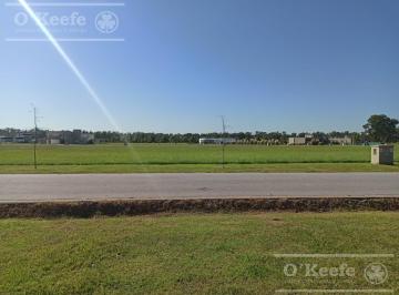 Terreno · 1500m² · Lote en Area 60 de 1500 m². ¡Anticipo Mínimo y Financiación!