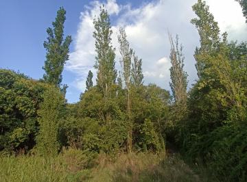 Casa de 4 ambientes, Villa de Las Rosas · Se Vende! Casa con Acequia en Villa de Las Rosas, Traslasierra Cordoba