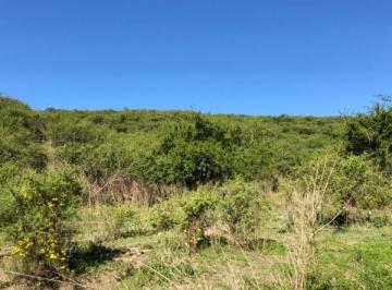 Terreno · 64000m² · Campo en Sierras Chicas - 6 Ha a 20 Minutos del Aeropuerto! Bajamos Los Precios! Dos