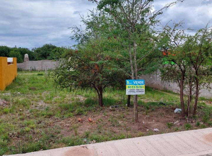 Terreno · 229m²