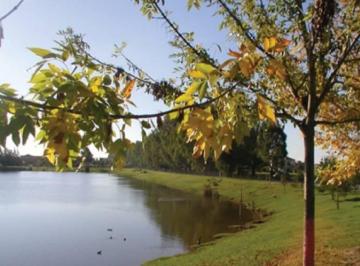 Terreno · 844m² · Laguna del Sol - Lote en Venta