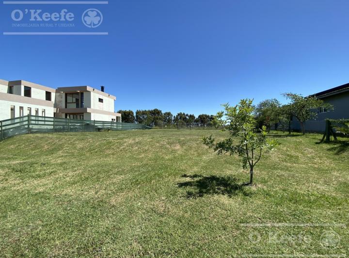 Terreno · 677m²