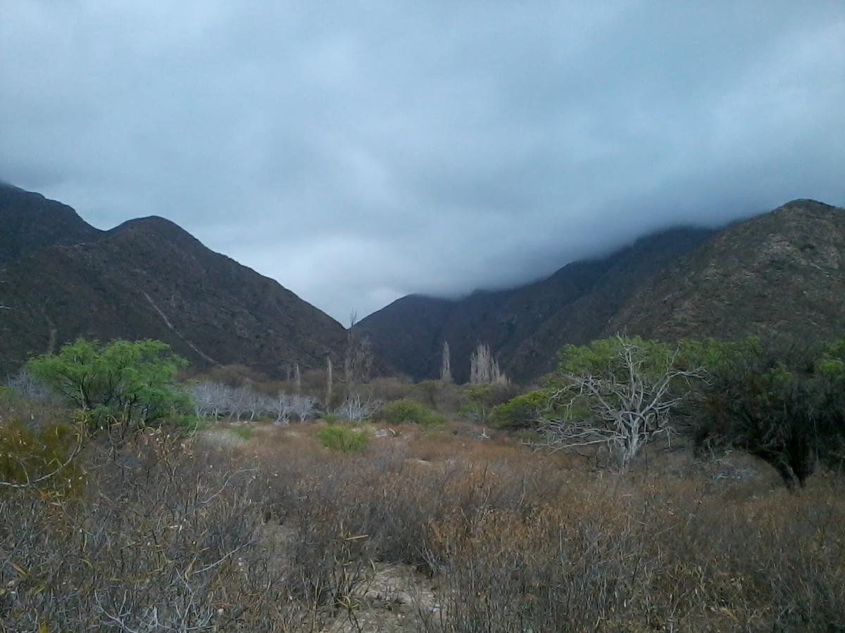 Puesto Asha, Arauco, La Rioja