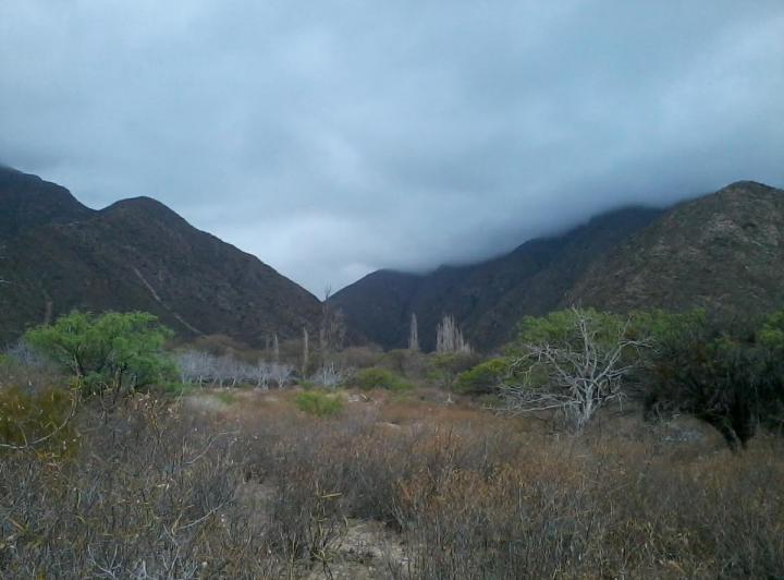 Terreno · 60000ha