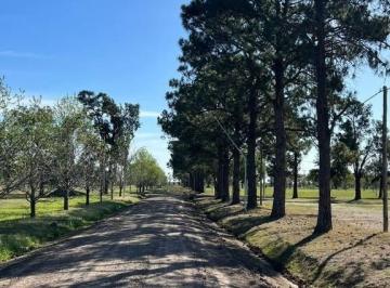 C21-027-72960_2 · Lote de 600 m² en Country Los Molinos