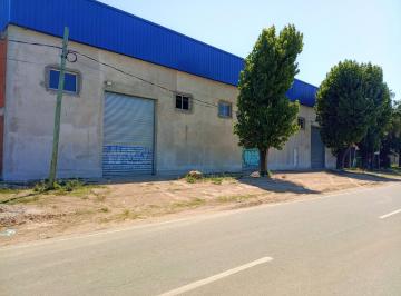 Bodega-Galpón · 1085m² · Tres Galpones Terminados en Venta Sobre Acceso Oeste, Moreno