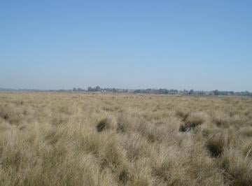 Campo · 710000m² · Campo en Venta en Campana