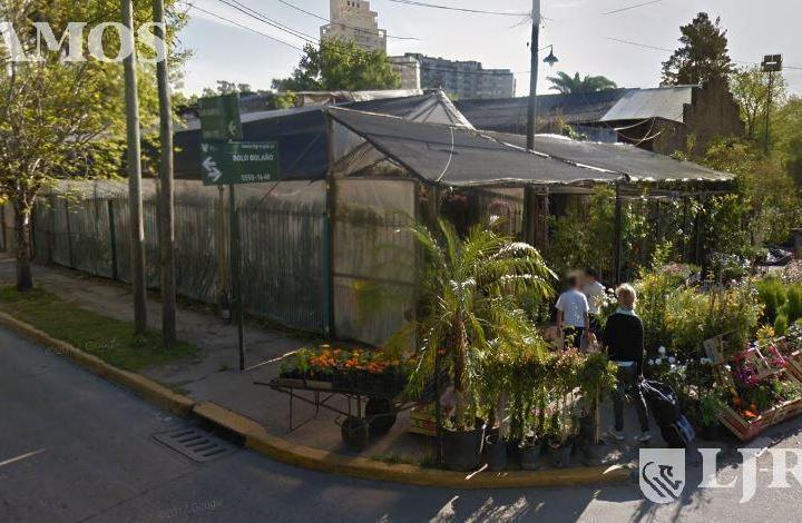 Local comercial · 1000m²