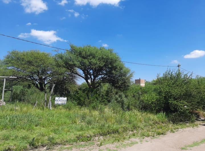 Terreno · 733m²