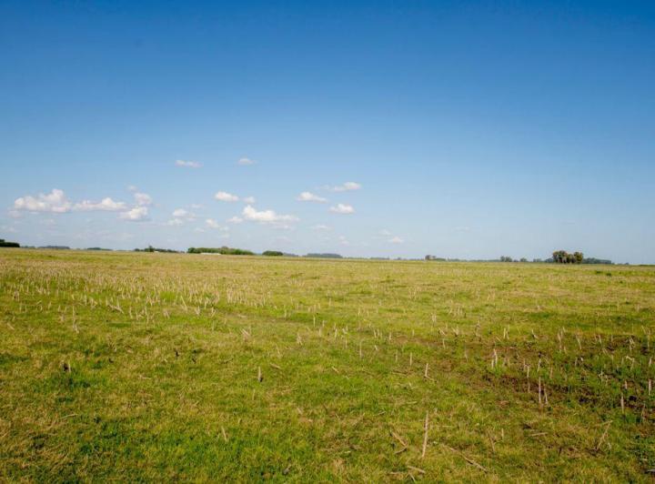 Campo · 1150m²