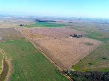 Campo · 2540000m² · Balcarce - 254 Ha