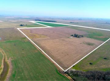 Campo · 2540000ha · Balcarce - 254 Ha