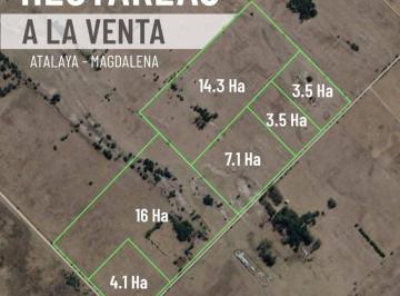 C21-008-76348_2 · Hectáreas a La Venta Atalaya Magdalena