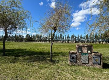 Terreno , Brandsen · Oportunidad! Haras del Sur III