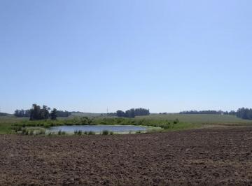 Campo · Chacra en Camino Medellin