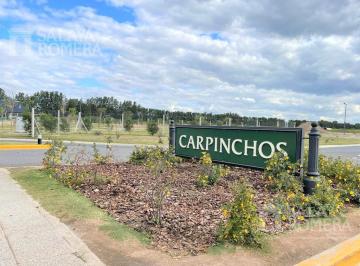 Terreno · 677m² · 1 Ambiente · Terreno en Venta en Esquina Carpinchos Nordelta