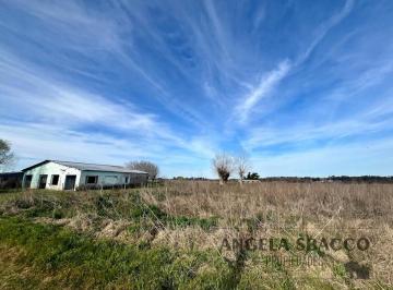 Campo · 1500m² · 5 Ambientes · Excelente Campo con Mejoras.