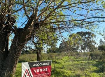 Terreno de 4 ambientes, Gualeguaychú · Chacra 14 Hectáreas - Zona Costa Uruguay Sur