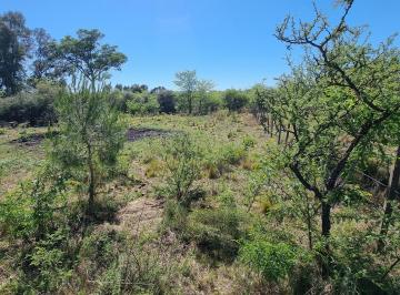 Terreno , Los Reartes · Lote Venta 630 m² Buenas Vistas Excelente Ubicación Capilla Vieja Los Reartes
