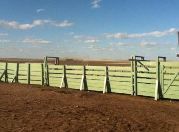 Campo · 23500m² · Tornquist - Campo - 235has - C/casco (185 M&sup2;) Galp - 7 Kmr51 - Agri/gan - Agua - L/trif - Gas - T/prop Pp Caba/gba Zn