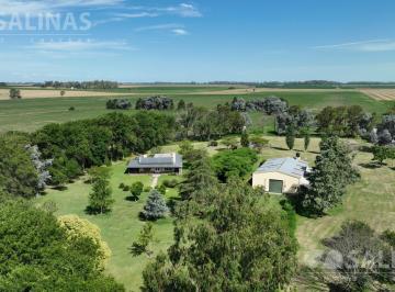 Campo · 1630000m² · Campo Agrícola con Mejoras en La Luisa