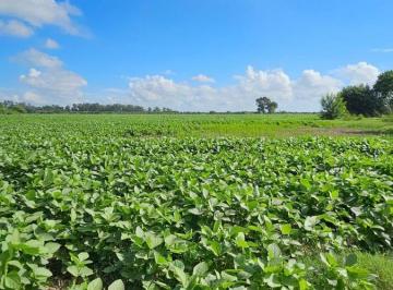 Campo · 80000m² · Campo en Monte Vera, a 600 m de Ruta Prov. 2 8.54 Ha