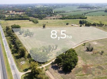 Campo · 86000m² · Venta de Fracción Industrial en Pilar Sobre Ruta 6