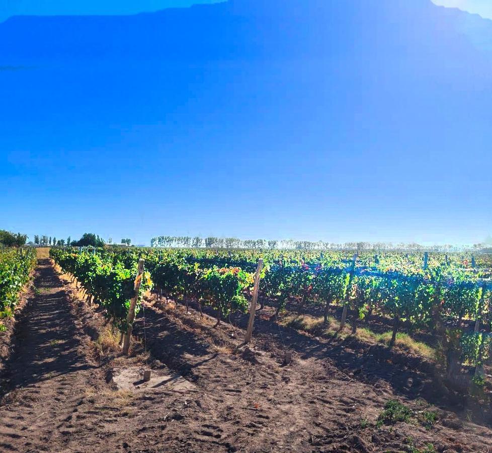 Videla Aranda. Esquina Crespi (R. Ortega), Maipú, Mendoza,  Maipú, Mendoza