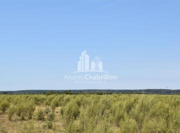 Campo · 90m² · 1 Ambiente · Ruta Nacional 14